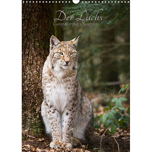 Der Luchs - Europas größte Samtpfote (Wandkalender 2022 DIN A3 hoch), Cloudtail the Snow Leopard