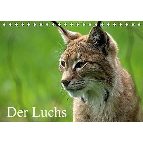 Der Luchs / Geburtstagskalender (Tischkalender 2016 DIN A5 quer), Arno Klatt