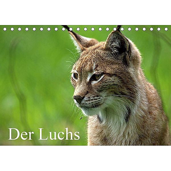 Der Luchs / Geburtstagskalender (Tischkalender 2021 DIN A5 quer), Arno Klatt