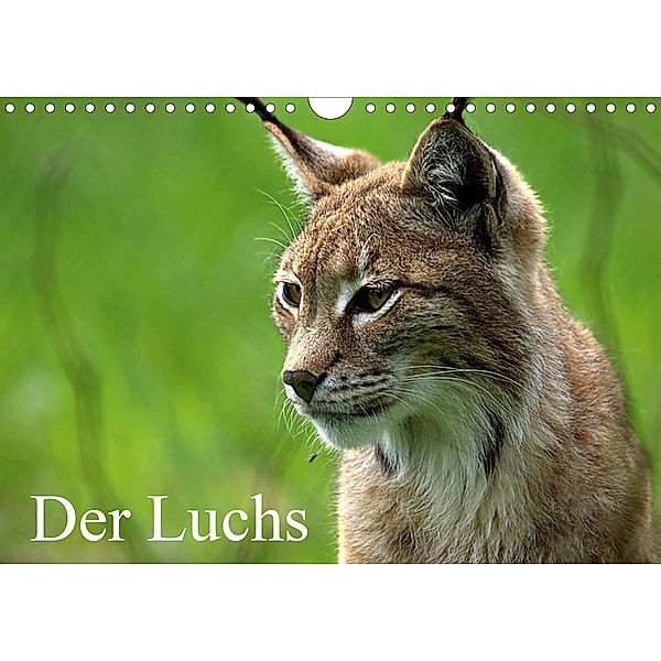 Der Luchs / Geburtstagskalender (Wandkalender 2021 DIN A4 quer), Arno Klatt