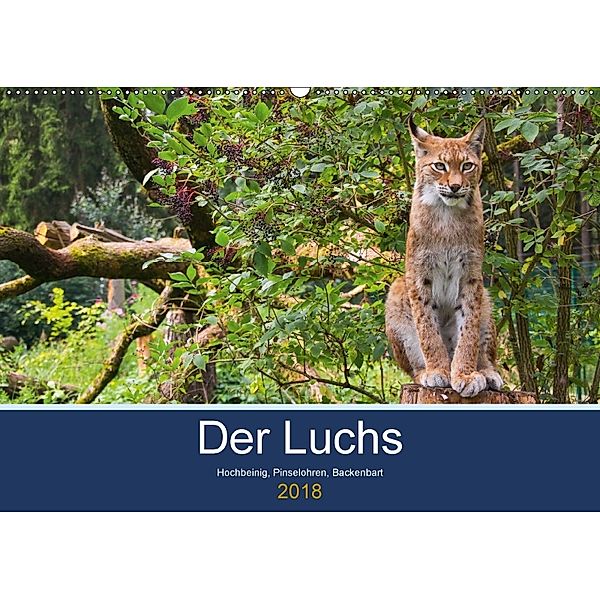 Der Luchs - Hochbeinig, Pinselohren, Backenbart (Wandkalender 2018 DIN A2 quer) Dieser erfolgreiche Kalender wurde diese, Dieter Elstner