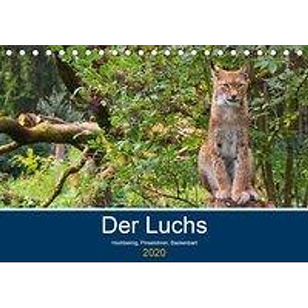 Der Luchs - Hochbeinig, Pinselohren, Backenbart (Tischkalender 2020 DIN A5 quer), Dieter Elstner
