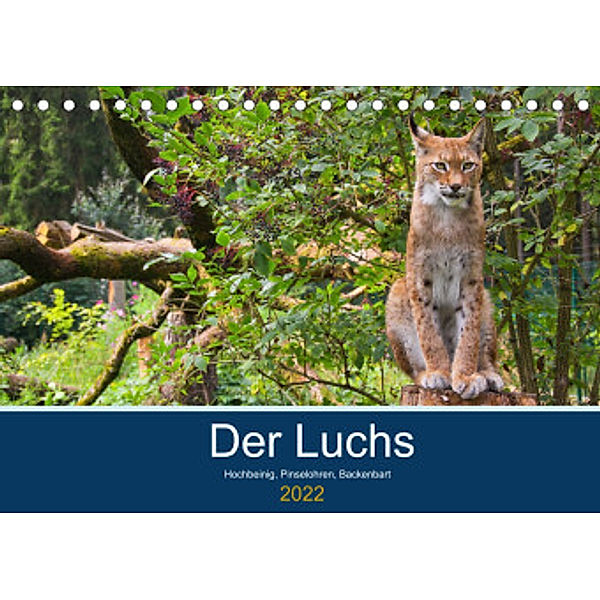 Der Luchs - Hochbeinig, Pinselohren, Backenbart (Tischkalender 2022 DIN A5 quer), Dieter Elstner