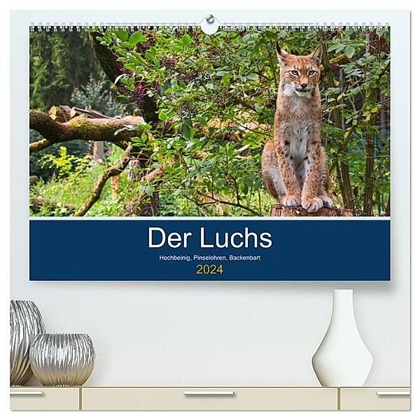 Der Luchs - Hochbeinig, Pinselohren, Backenbart (hochwertiger Premium Wandkalender 2024 DIN A2 quer), Kunstdruck in Hochglanz, Dieter Elstner