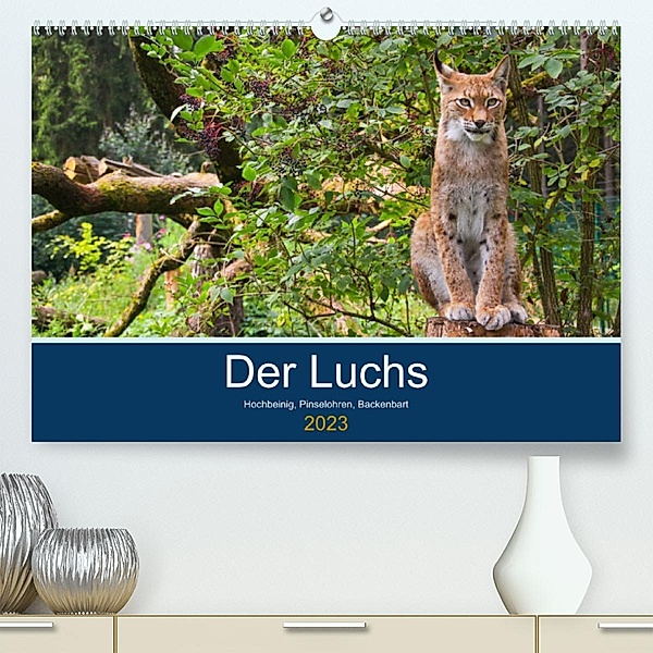 Der Luchs - Hochbeinig, Pinselohren, Backenbart (Premium, hochwertiger DIN A2 Wandkalender 2023, Kunstdruck in Hochglanz, Dieter Elstner