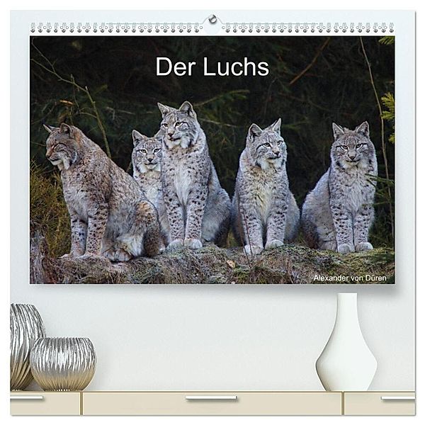 Der Luchs (hochwertiger Premium Wandkalender 2024 DIN A2 quer), Kunstdruck in Hochglanz, Alexander von Düren