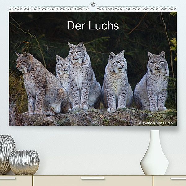 Der Luchs (Premium-Kalender 2020 DIN A2 quer), Alexander von Düren