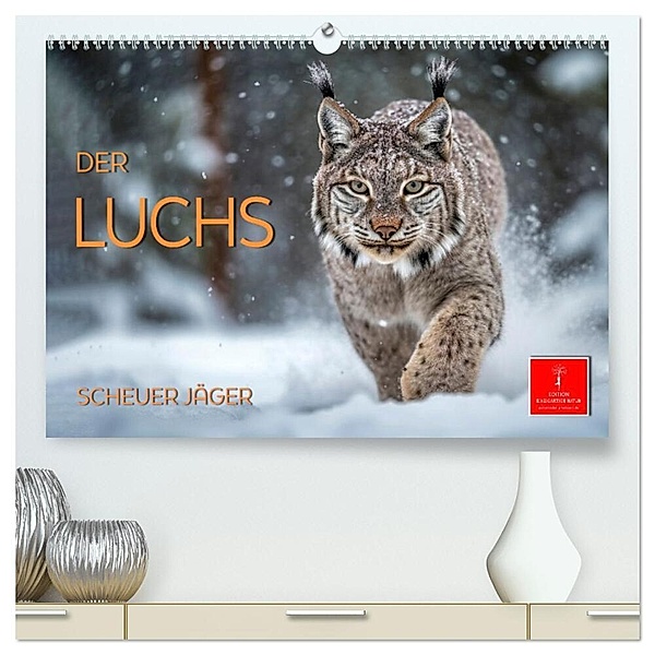 Der Luchs - scheuer Jäger (hochwertiger Premium Wandkalender 2024 DIN A2 quer), Kunstdruck in Hochglanz, Peter Roder