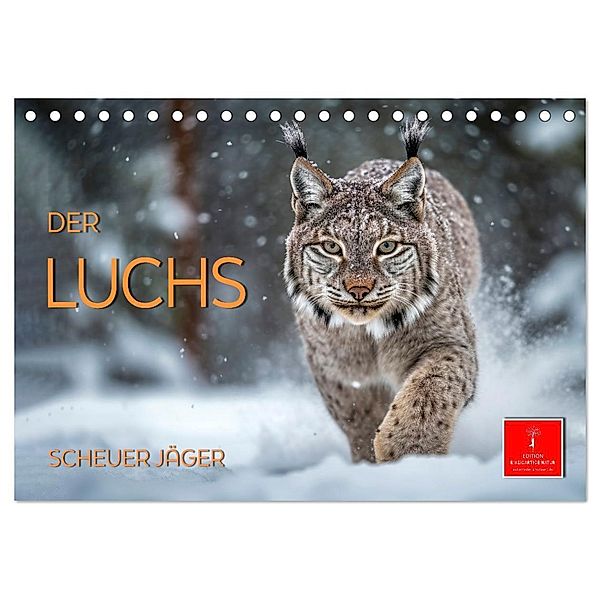 Der Luchs - scheuer Jäger (Tischkalender 2024 DIN A5 quer), CALVENDO Monatskalender, Peter Roder