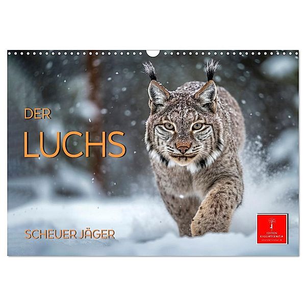 Der Luchs - scheuer Jäger (Wandkalender 2024 DIN A3 quer), CALVENDO Monatskalender, Peter Roder