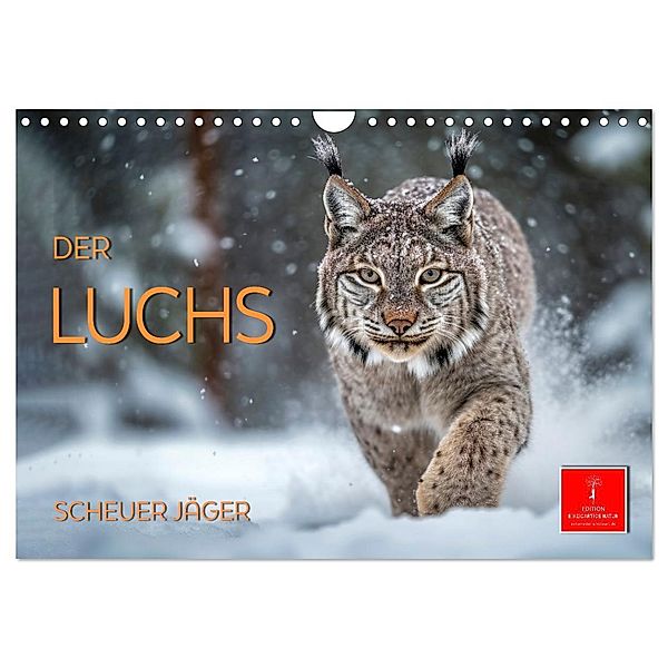 Der Luchs - scheuer Jäger (Wandkalender 2025 DIN A4 quer), CALVENDO Monatskalender, Calvendo, Peter Roder