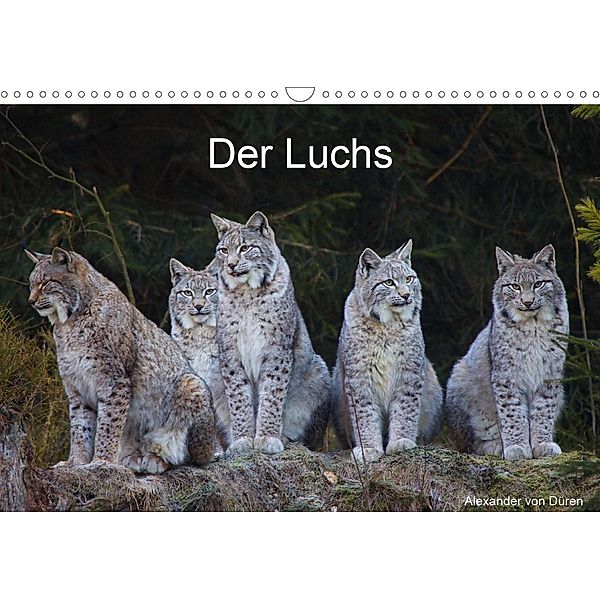 Der Luchs (Wandkalender 2021 DIN A3 quer), Alexander von Düren, Alexander von Düren