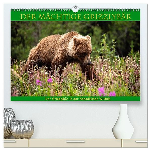 Der mächtige Gizzlybär (hochwertiger Premium Wandkalender 2025 DIN A2 quer), Kunstdruck in Hochglanz, Calvendo, Roland Brack