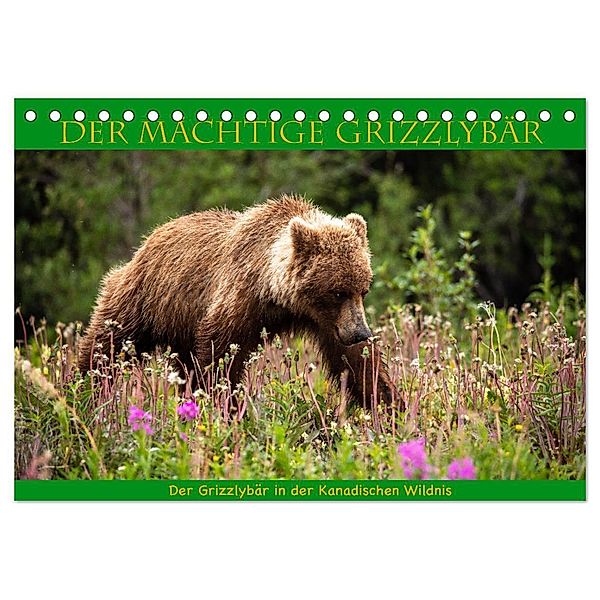 Der mächtige Gizzlybär (Tischkalender 2025 DIN A5 quer), CALVENDO Monatskalender, Calvendo, Roland Brack