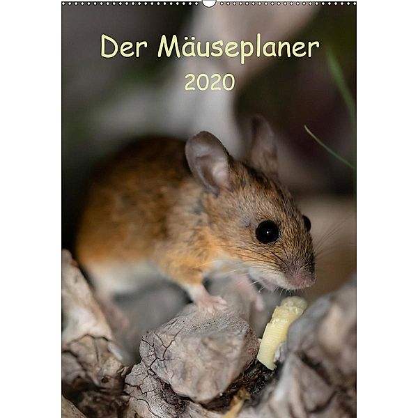 Der Mäuseplaner (Wandkalender 2020 DIN A2 hoch), Nicole Köstler