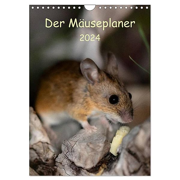 Der Mäuseplaner (Wandkalender 2024 DIN A4 hoch), CALVENDO Monatskalender, Passion Photography by Nicole Peters