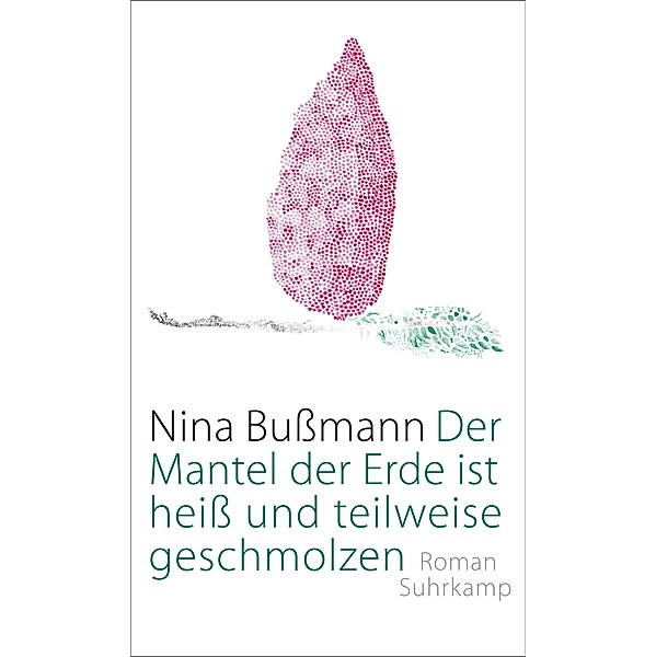 Der Mantel der Erde ist heiß und teilweise geschmolzen, Nina Bußmann