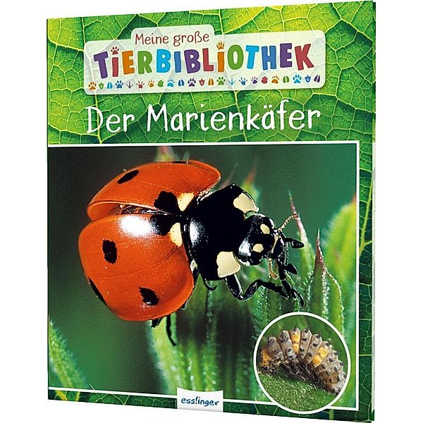 Der Marienkäfer / Meine grosse Tierbibliothek Bd.23, Valérie Tracqui