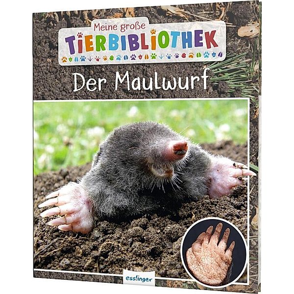 Der Maulwurf / Meine grosse Tierbibliothek Bd.21, Jens Poschadel