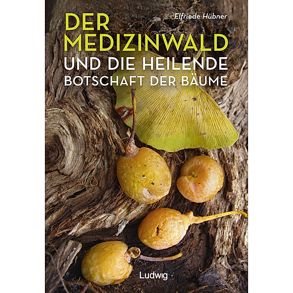 Der Medizinwald und die heilende Botschaft der Bäume., m. 1 Buch, Elfriede Hübner
