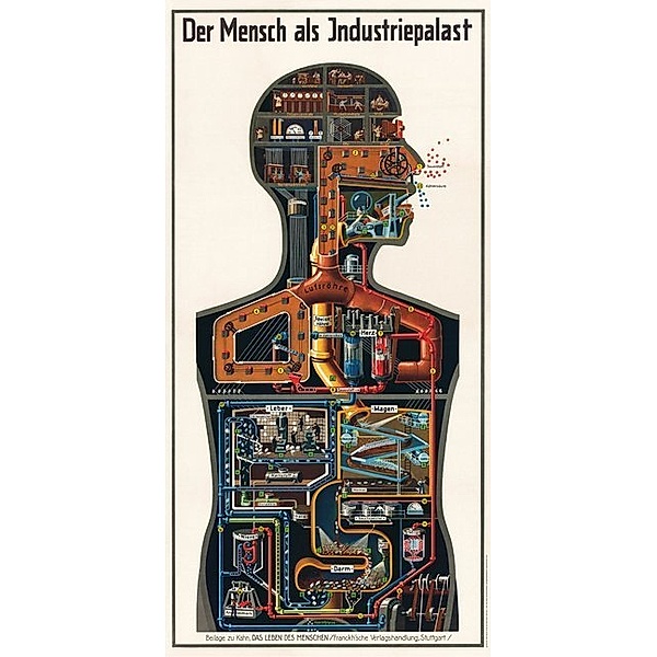 Der Mensch als Industriepalast, Poster, Fritz Kahn