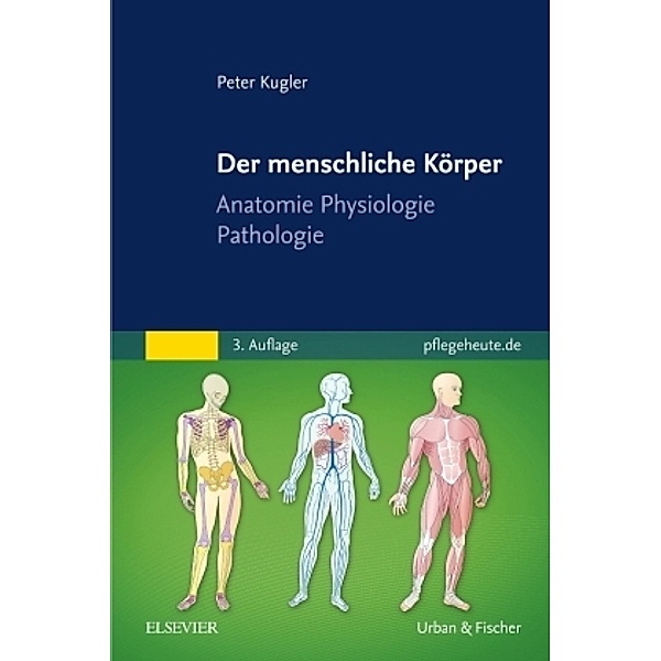 Der menschliche Körper, Peter Kugler