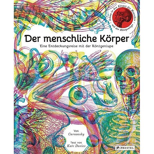 Der menschliche Körper, Carnovsky, Kate Davies