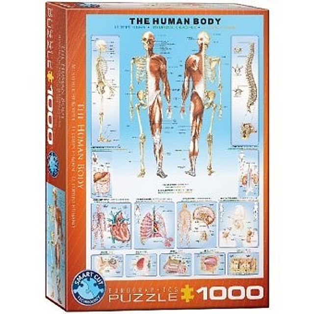 Der menschliche Körper Puzzle jetzt bei Weltbild.ch bestellen