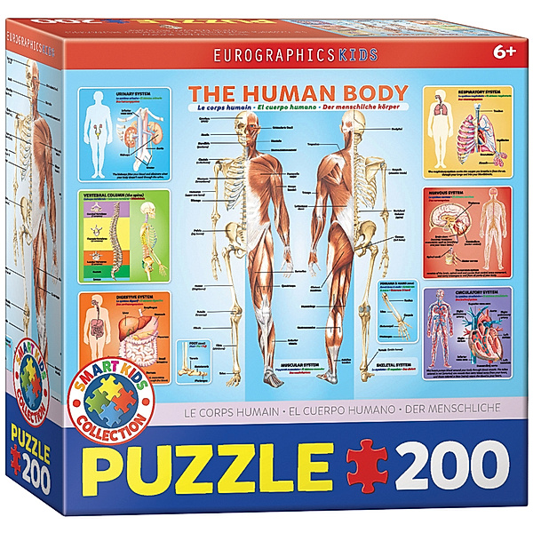 Eurographics Der menschliche Körper (Puzzle)