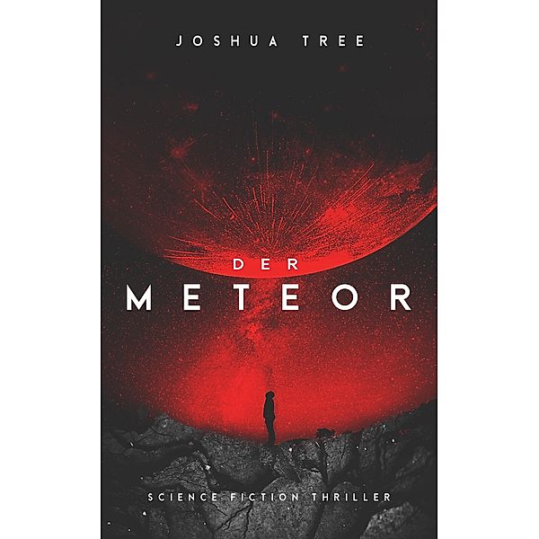 Der Meteor / Der Meteor Bd.1, Joshua Tree