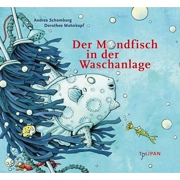 Der Mondfisch in der Waschanlage, Andrea Schomburg