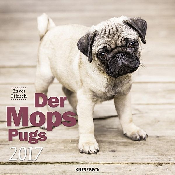 Der Mops 2017, Enver Hirsch