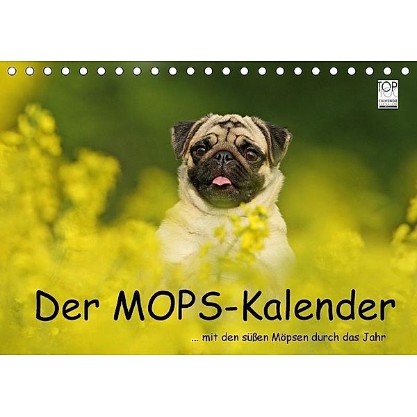 Der MOPS-Kalender (Tischkalender 2017 DIN A5 quer), Kathrin Köntopp