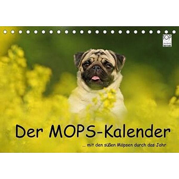 Der MOPS-Kalender (Tischkalender 2022 DIN A5 quer), Kathrin Köntopp