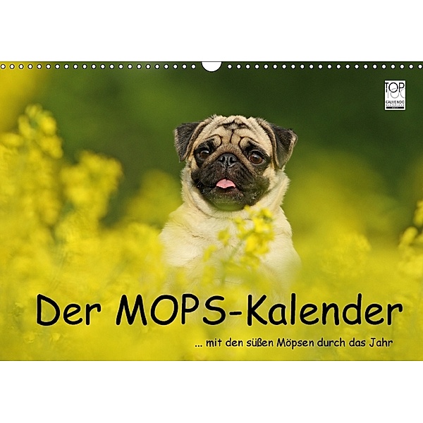 Der MOPS-Kalender (Wandkalender 2018 DIN A3 quer), Kathrin Köntopp