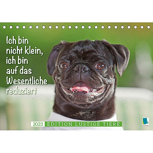 Der Mops: Nicht klein, sondern aufs Wesentliche reduziert. Edition lustige Tiere (Tischkalender 2023 DIN A5 quer), Calvendo