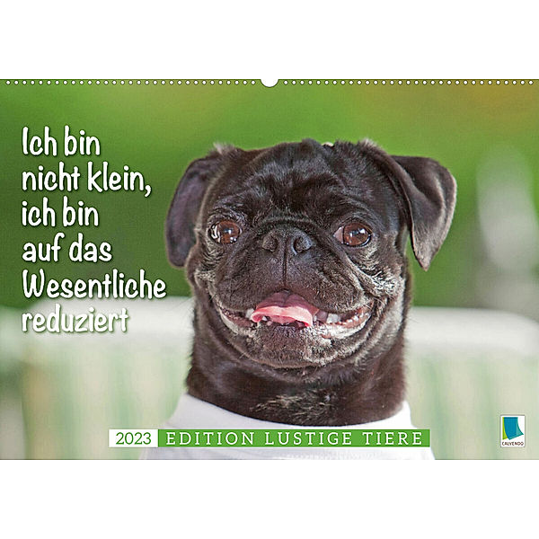 Der Mops: Nicht klein, sondern aufs Wesentliche reduziert. Edition lustige Tiere (Wandkalender 2023 DIN A2 quer), Calvendo