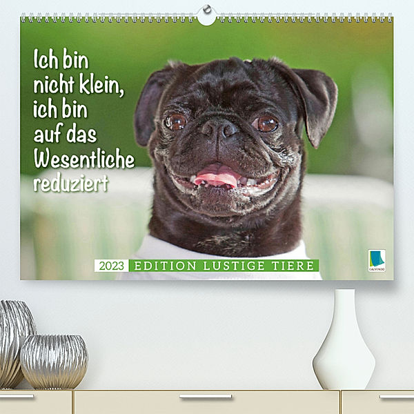 Der Mops: Nicht klein, sondern aufs Wesentliche reduziert. Edition lustige Tiere (Premium, hochwertiger DIN A2 Wandkalender 2023, Kunstdruck in Hochglanz), Calvendo