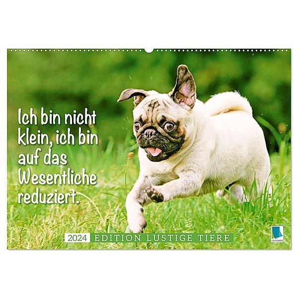 Der Mops: Nicht klein, sondern aufs Wesentliche reduziert. Edition lustige Tiere (Wandkalender 2024 DIN A2 quer), CALVENDO Monatskalender, Calvendo