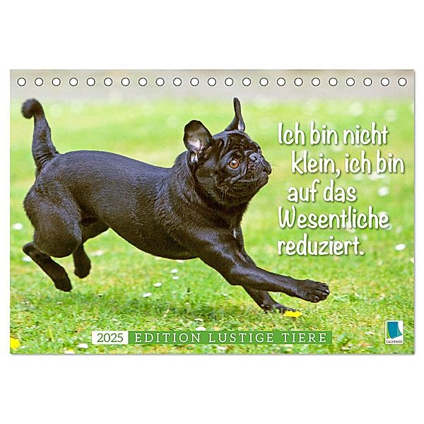 Der Mops: Nicht klein, sondern aufs Wesentliche reduziert. Edition lustige Tiere (Tischkalender 2025 DIN A5 quer), CALVENDO Monatskalender, Calvendo