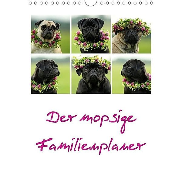 Der mopsige Familienplaner (Wandkalender 2017 DIN A4 hoch), Kathrin Köntopp