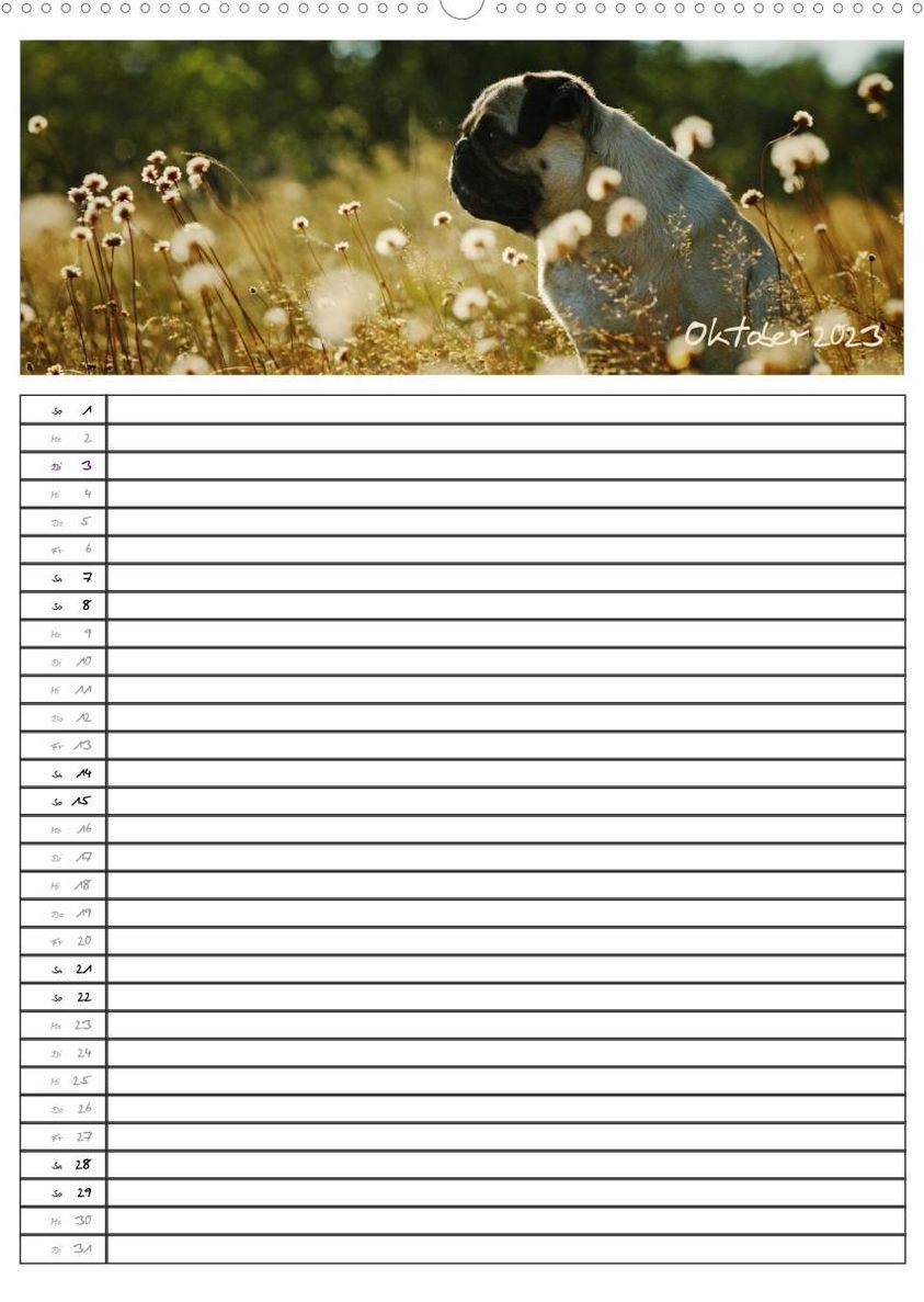 Der mopsige Familienplaner Wandkalender 2023 DIN A2 hoch - Kalender  bestellen