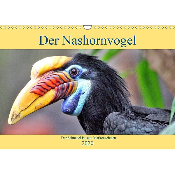 Der Nashornvogel - Der Schnabel ist sein Markenzeichen (Wandkalender 2020 DIN A3 quer), Arno Klatt