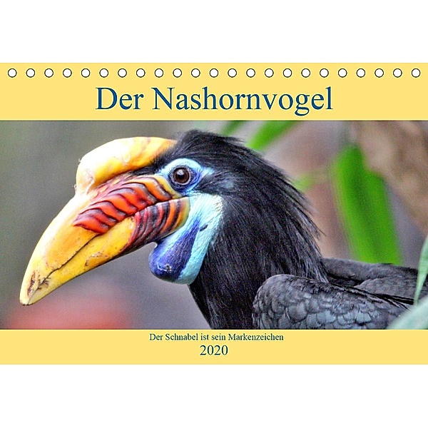 Der Nashornvogel - Der Schnabel ist sein Markenzeichen (Tischkalender 2020 DIN A5 quer), Arno Klatt