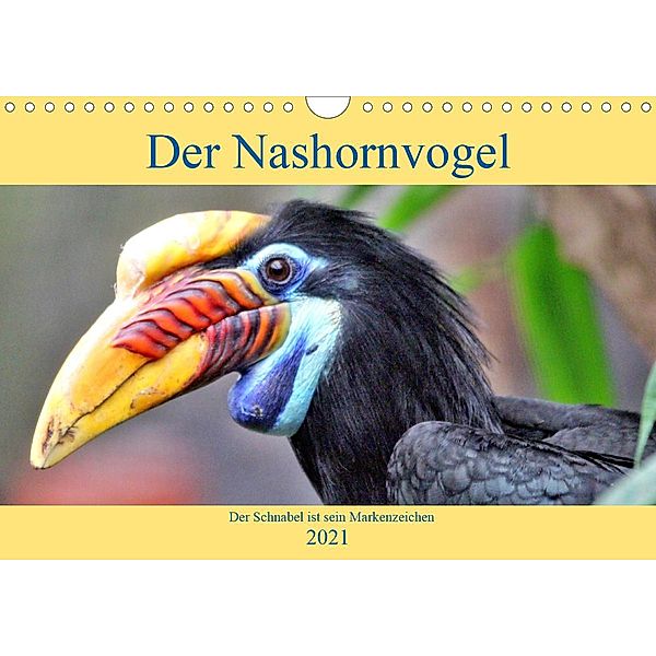 Der Nashornvogel - Der Schnabel ist sein Markenzeichen (Wandkalender 2021 DIN A4 quer), Arno Klatt