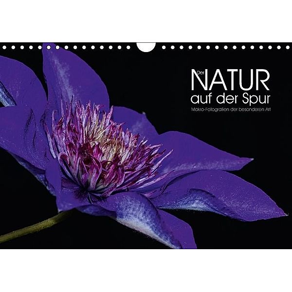 Der Natur auf der Spur - Makro-Fotografien der besonderen Art (Wandkalender 2017 DIN A4 quer), Dirk Vonten