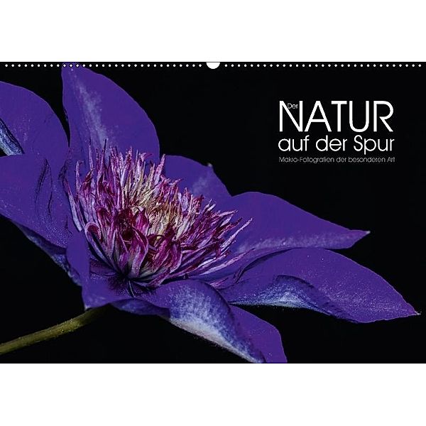 Der Natur auf der Spur - Makro-Fotografien der besonderen Art (Wandkalender 2017 DIN A2 quer), Dirk Vonten