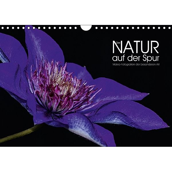 Der Natur auf der Spur - Makro-Fotografien der besonderen Art (Wandkalender 2018 DIN A4 quer), Dirk Vonten