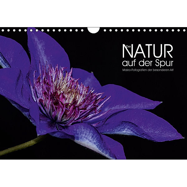 Der Natur auf der Spur - Makro-Fotografien der besonderen Art (Wandkalender 2019 DIN A4 quer), Dirk Vonten