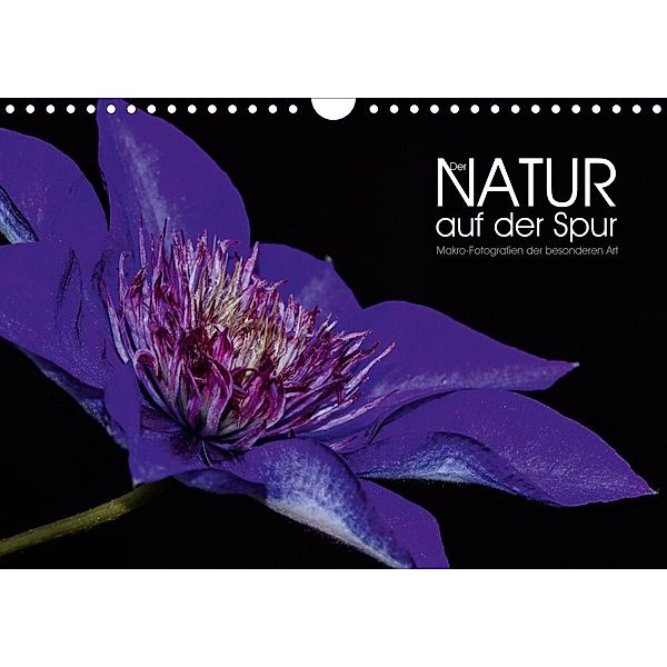 Der Natur auf der Spur - Makro-Fotografien der besonderen Art (Wandkalender 2020 DIN A4 quer), Dirk Vonten